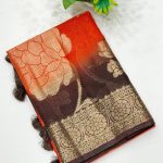 Banarasi Premium Kota Doria Saree | Elegant Banarasi Saree | Banarasi Hastkala - Saree 3