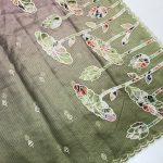 Kota Doria Silk Saree | Elegant Traditional Saree | Banarasi Hastkala Weaves - Saree 2